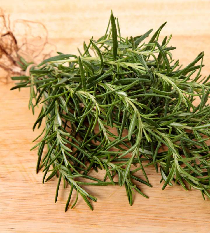 Fresh Rosemary Miami
